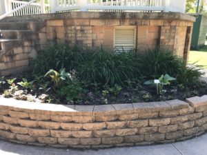 image of city park landscaping